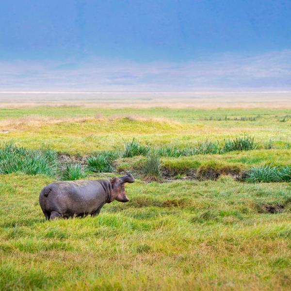 Ngorongoro Conservation Areaimage - 0