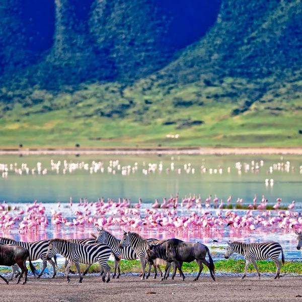 Ngorongoro Conservation Areaimage - 1