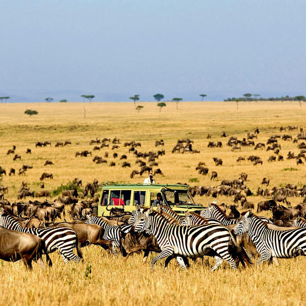Serengeti National Parkimage - 0