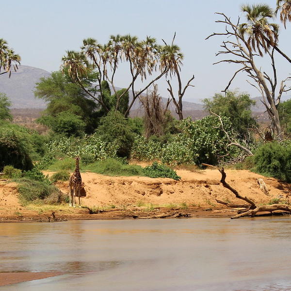 Shaba Game Reserveimage - 0