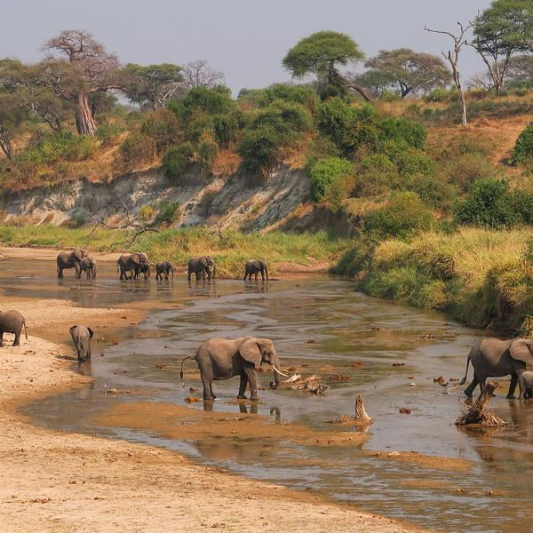 Tarangire National Parkimage - 1
