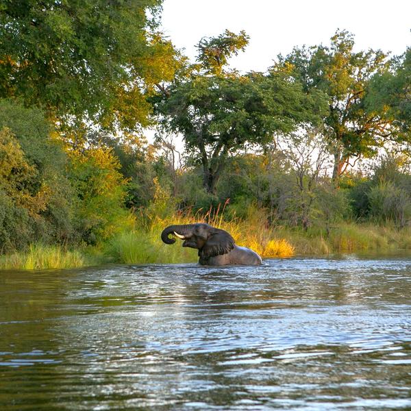 Zambezi Regionenimage - 1