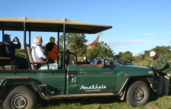 Big 5 Safari - Amakhala Game Reserve