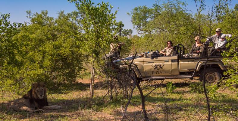 The Sabi Sand Game Reserve holds one of the highest concentrations of free roaming wildlife per hectare 