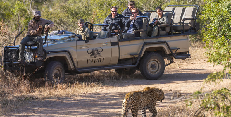 Game drives and good times! 🐾 Your luxury safari adventure starts here.