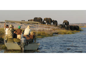 Water based game viewing