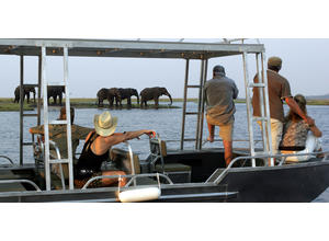 Game Viewing