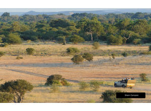Game drives at Mashatu Game Reserve