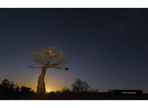 Moonlight silhouette
