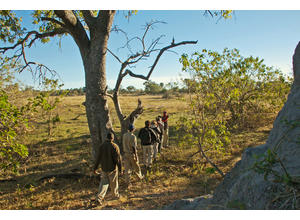 Bush walks