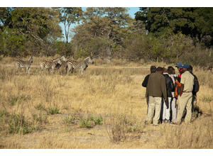 Bush Walks