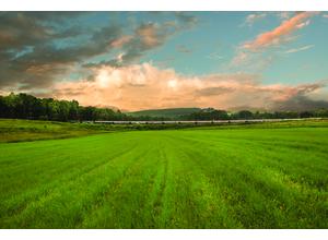 The train travelling through the Natal Midlands