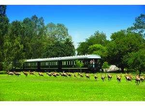 The observation car balcony can be a viewing pleasure!