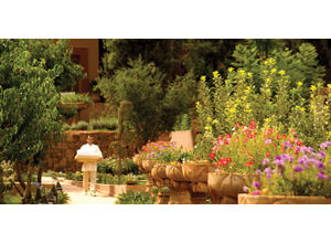 Gardens