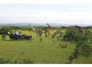 Game drives