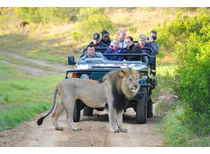 Game drives