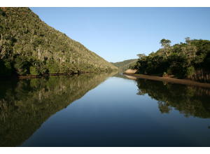 River cruises