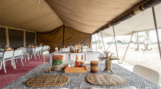 SERENGETI WILD CAMP