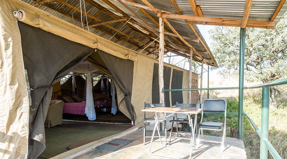 TanzaniaWildcamps