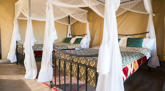 TanzaniaWildCamps