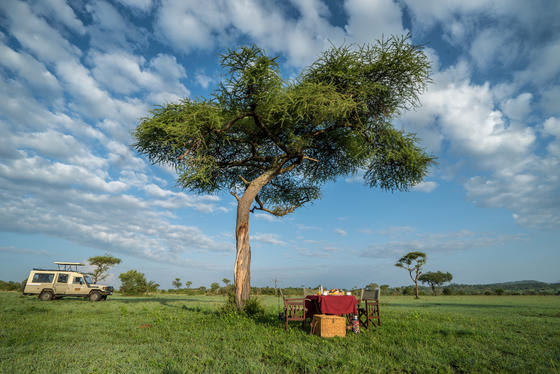 Be My Travel Muse -  Kristin Addis