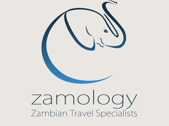 Zamology Travel Solutions logo