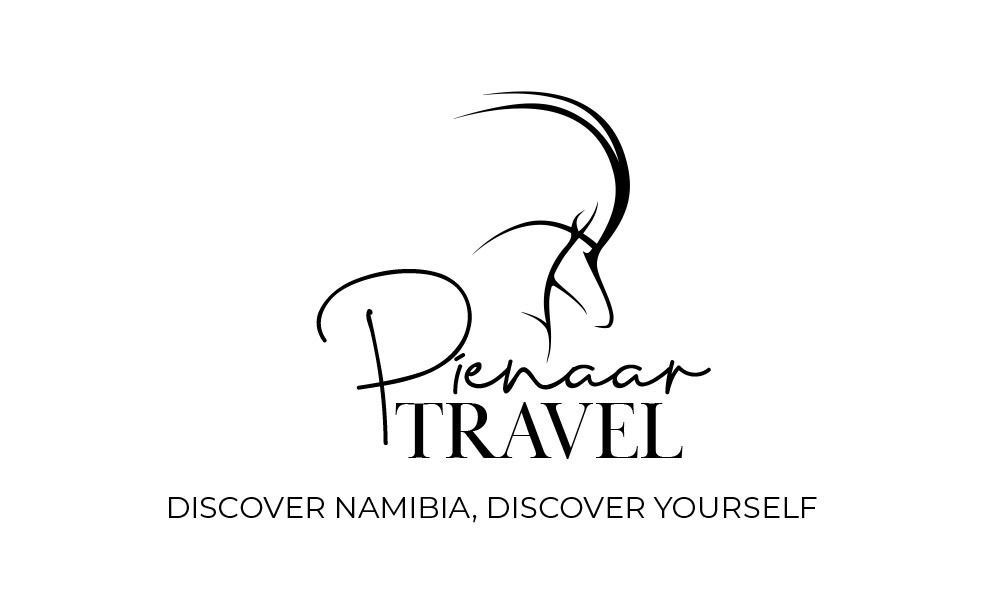 Pienaar Travel CC logo
