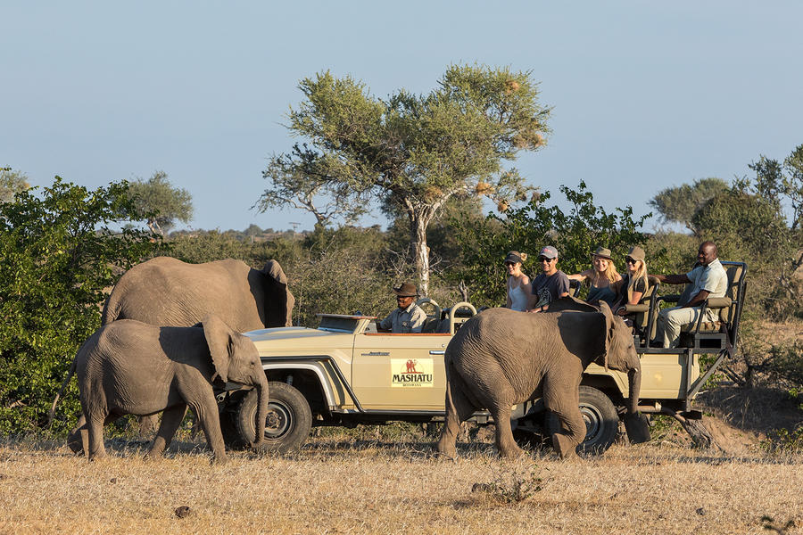 Mashatu Lodge - About Us