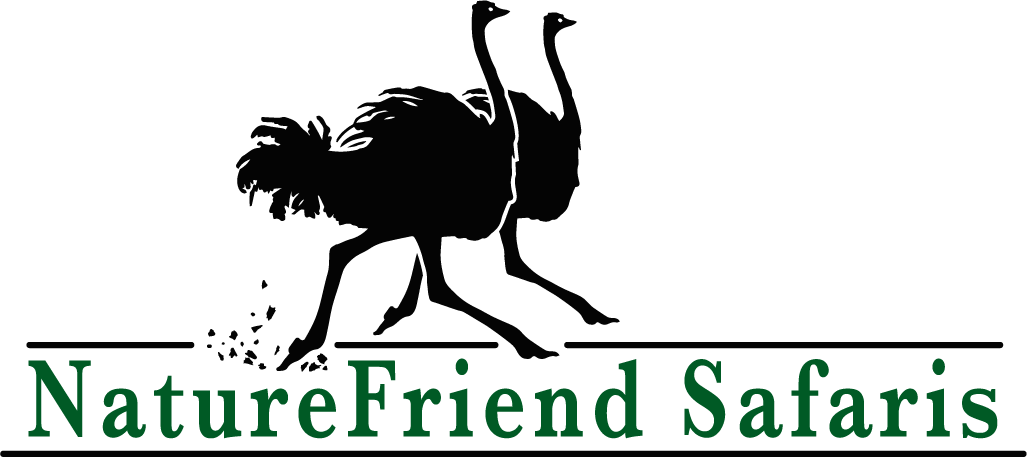 NatureFriend Safaris  logo