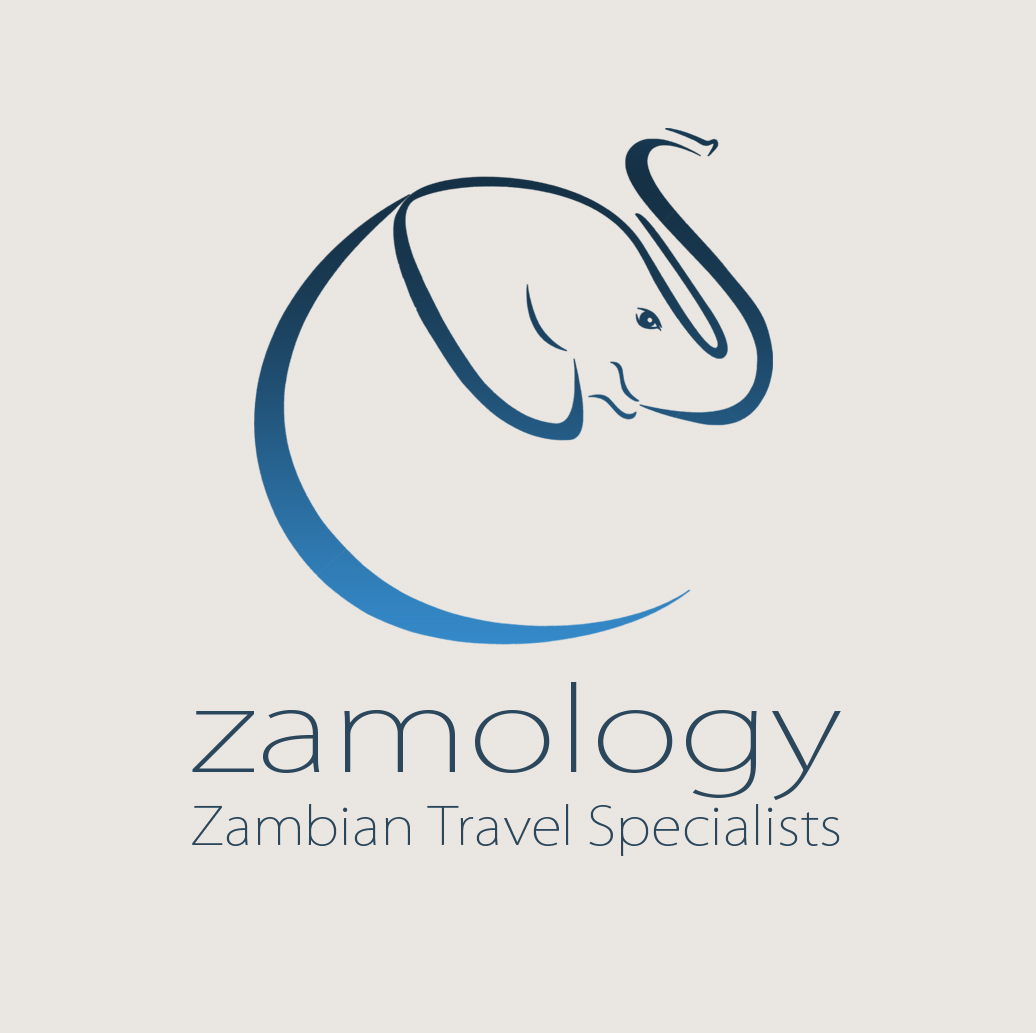 Zamology Travel Solutions logo