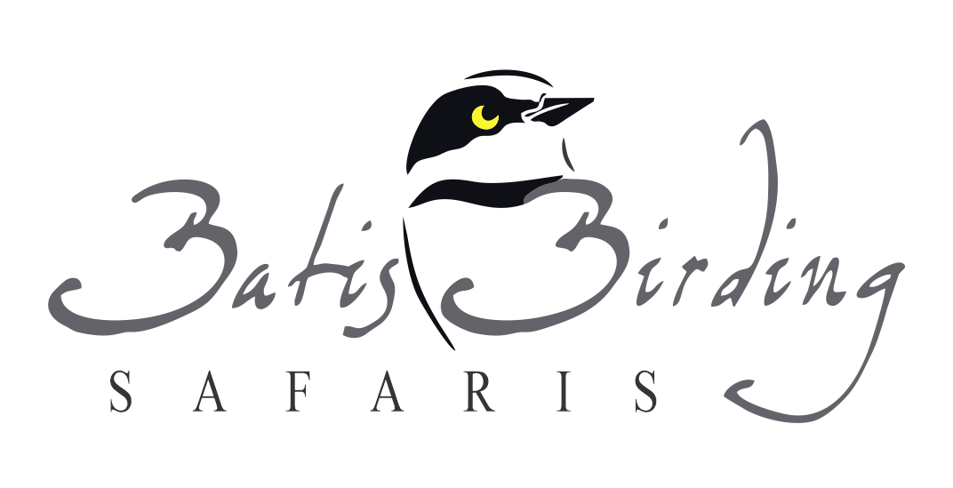 Batis Birding Safaris logo