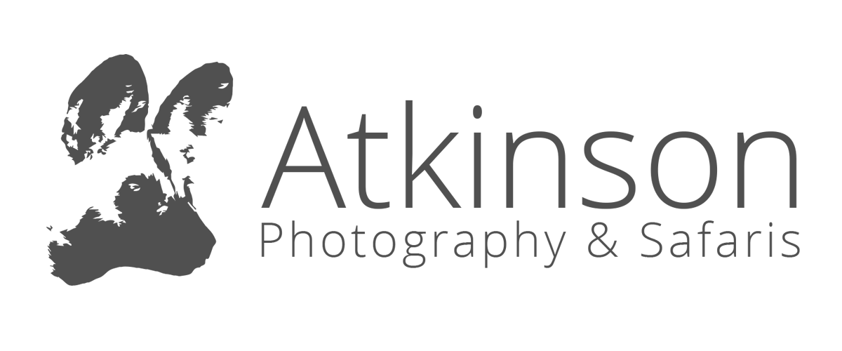 Atkinson Photography & Safaris logo
