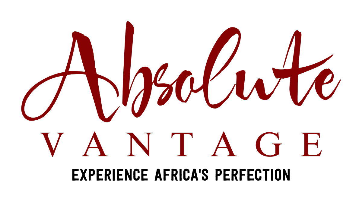 Absolute Vantage  logo