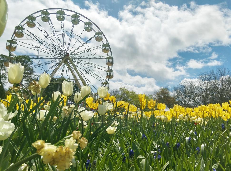 Australiens storstäder och landsbygd