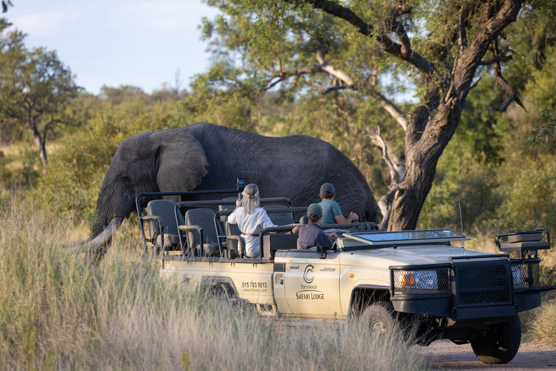 Tintswalo Safari - Gallery