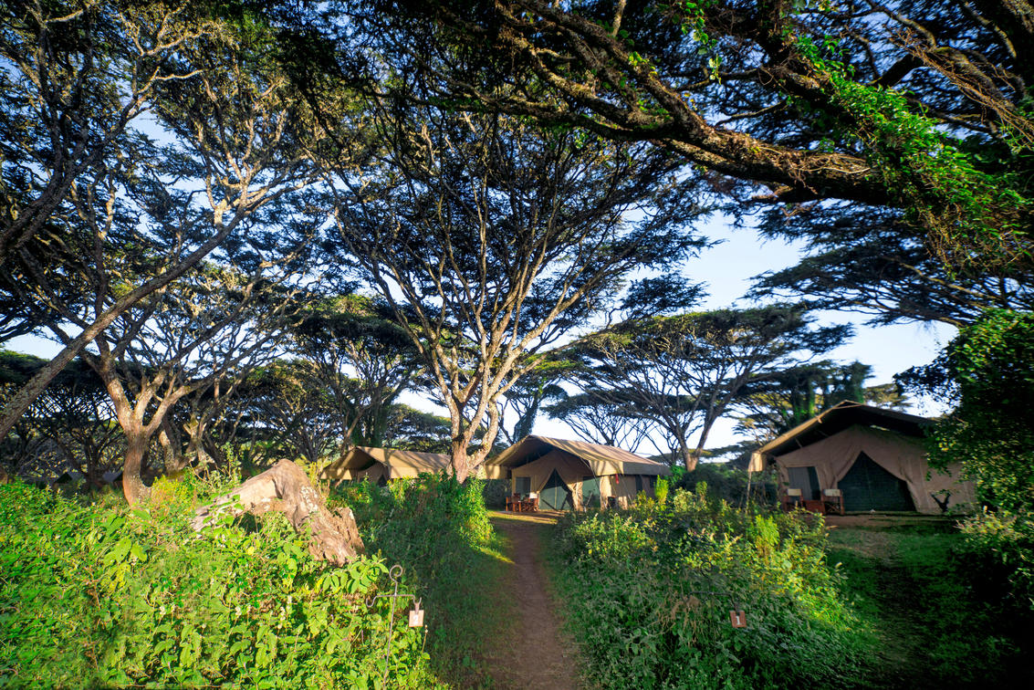 Lemala Ngorongoro Tented Camp - Gallery