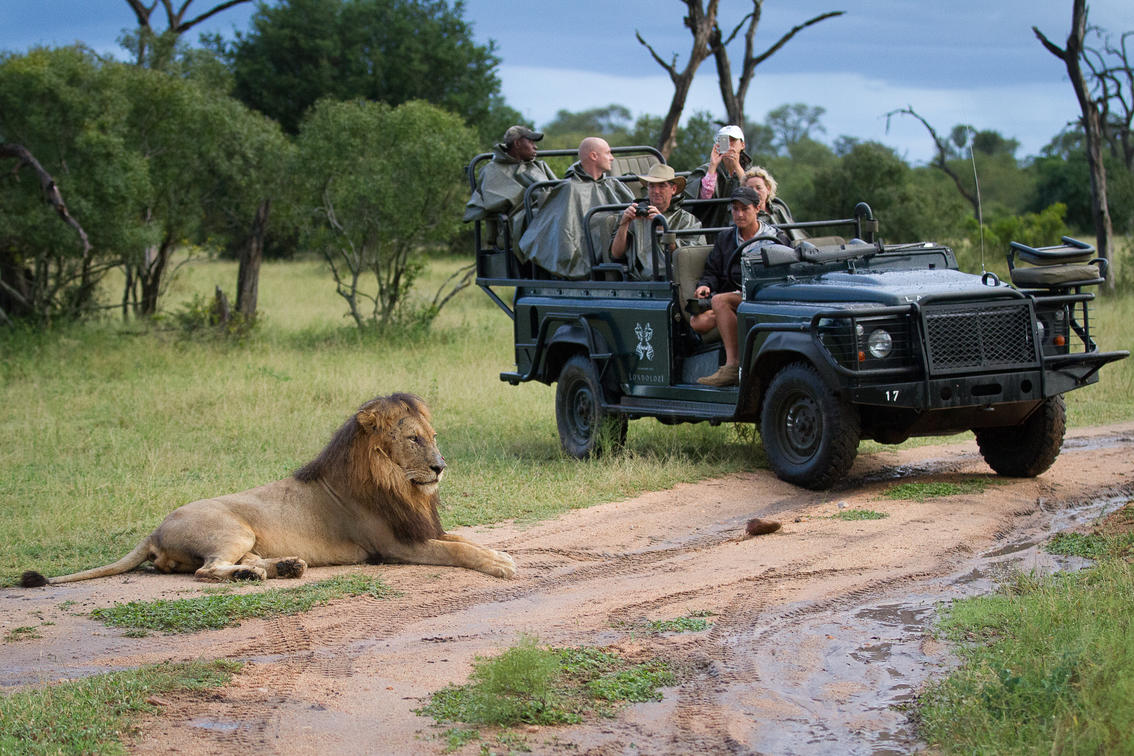 Londolozi Private Granite Suites - Gallery