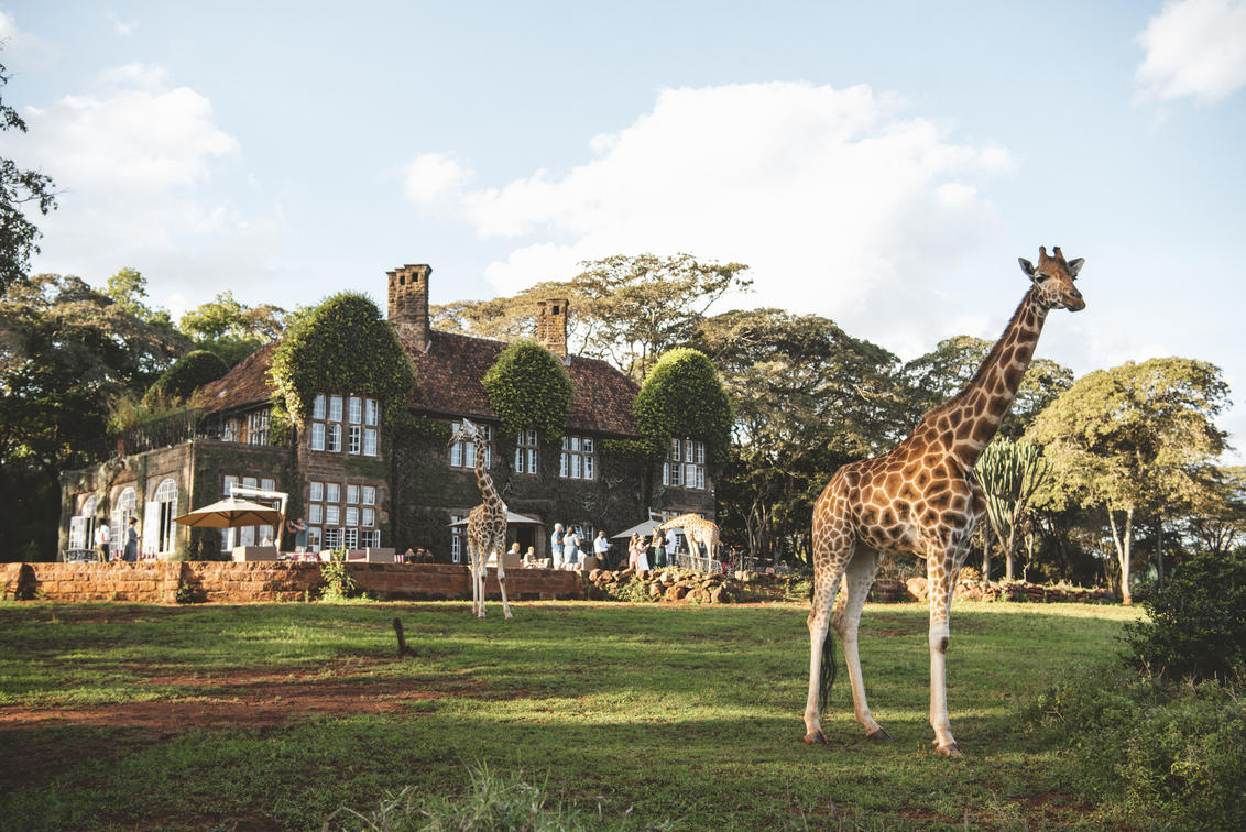 Giraffe Manor - Gallery