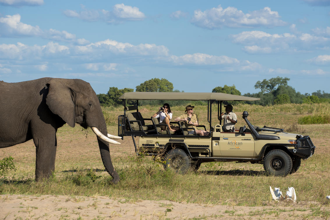 African Bush Camps Nyamatusi Camp - Enjoy