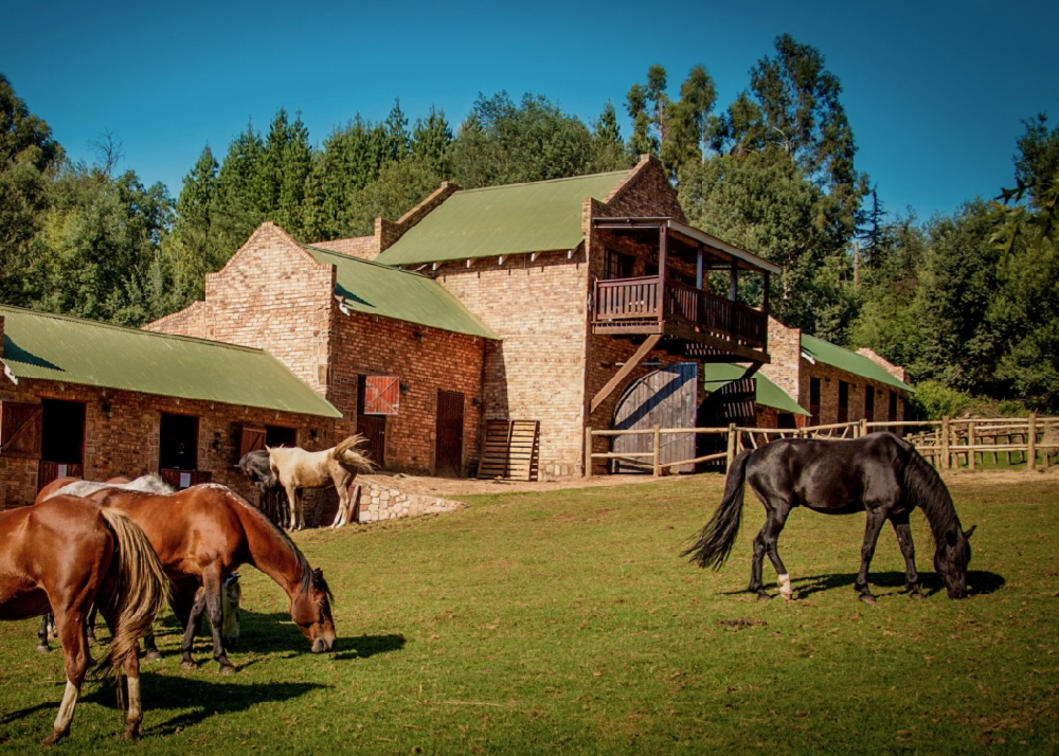 Dunkeld Country & Equestrian Estate Enjoy