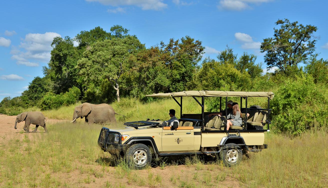 Imbali Safari Lodge - Gallery