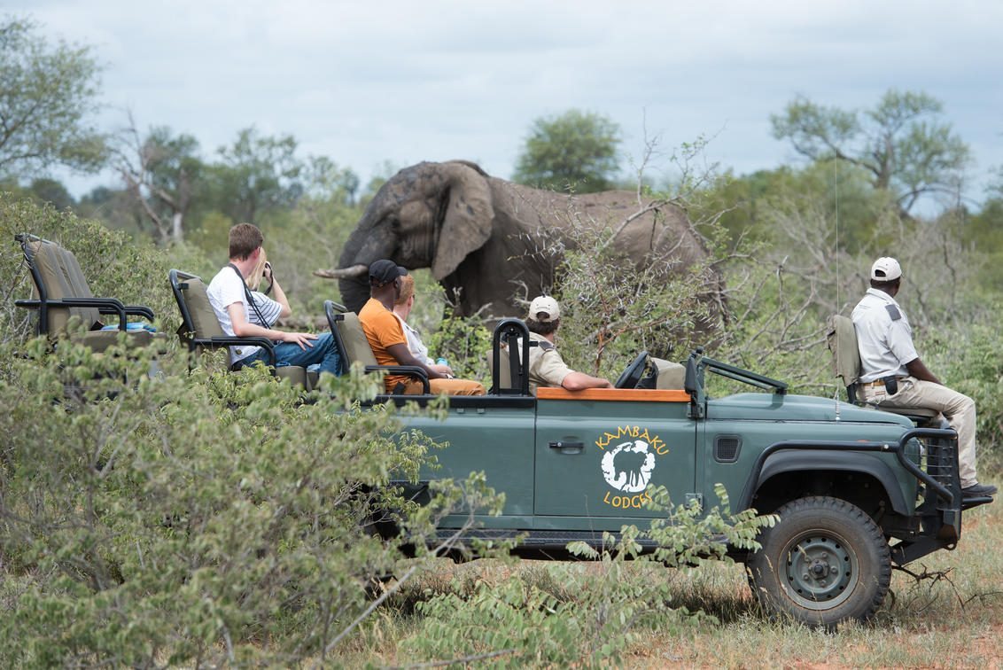 Kambaku Safari Lodge - Gallery