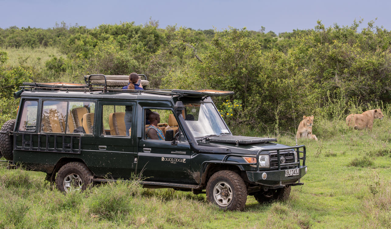 Solio Lodge - Gallery