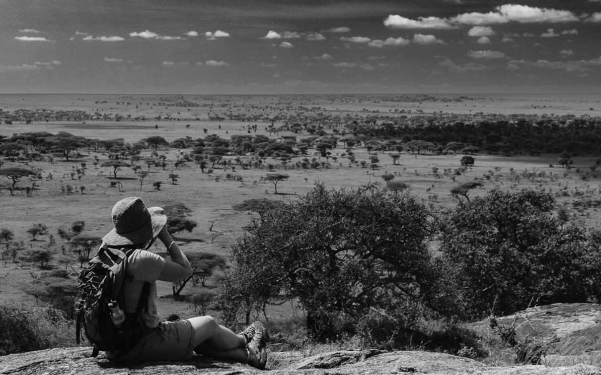 Wilderness Usawa Serengeti Gallery