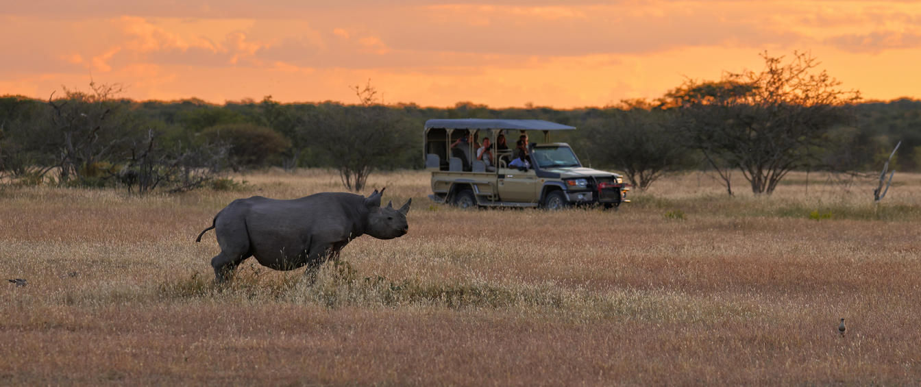 etosha safari lodge