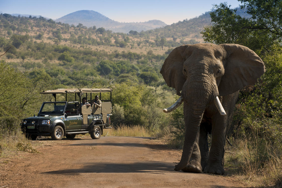 Bakubung Bush Lodge - Gallery