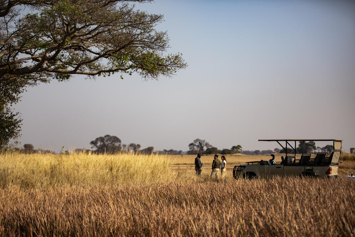 Wilderness Shumba - Gallery