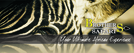 Brothers Safaris logo