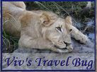 Viv's Travel Bug logo