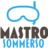 MASTRO VIAGGIATORE logo